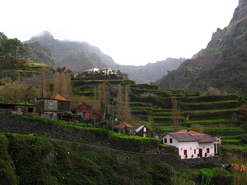 Madeira (175).jpg